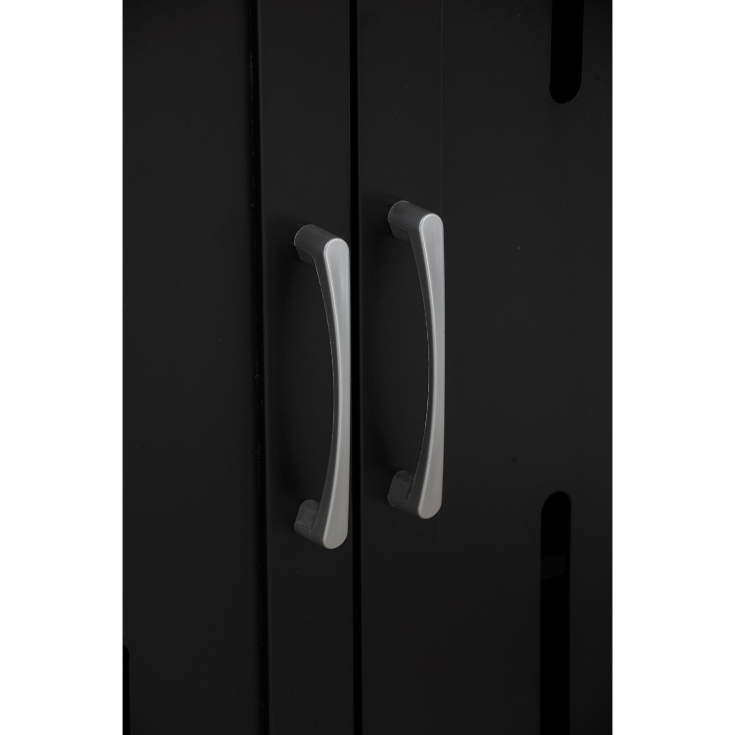 [CABINET & STORAGE] LUNA 2 DOOR SHOE CABINET