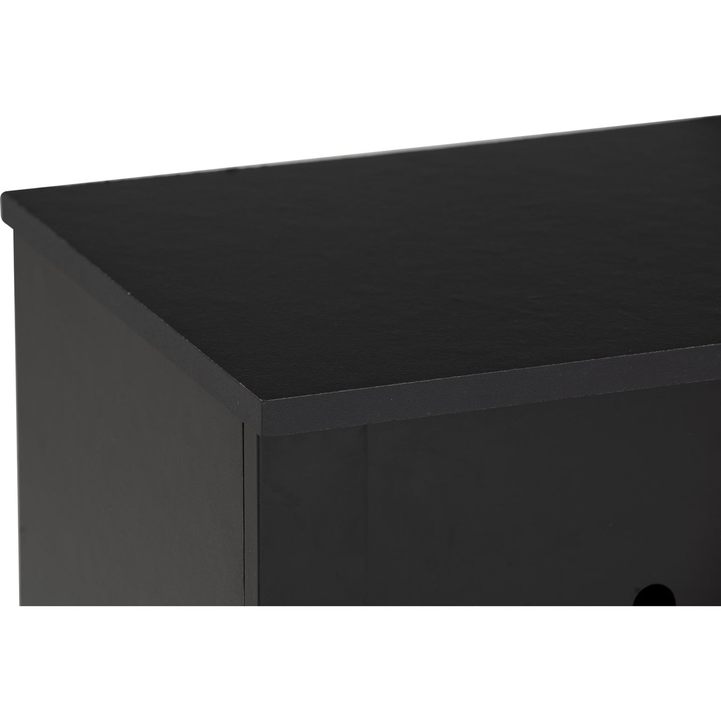 [CABINET & STORAGE] LUNA 2 DOOR SHOE CABINET