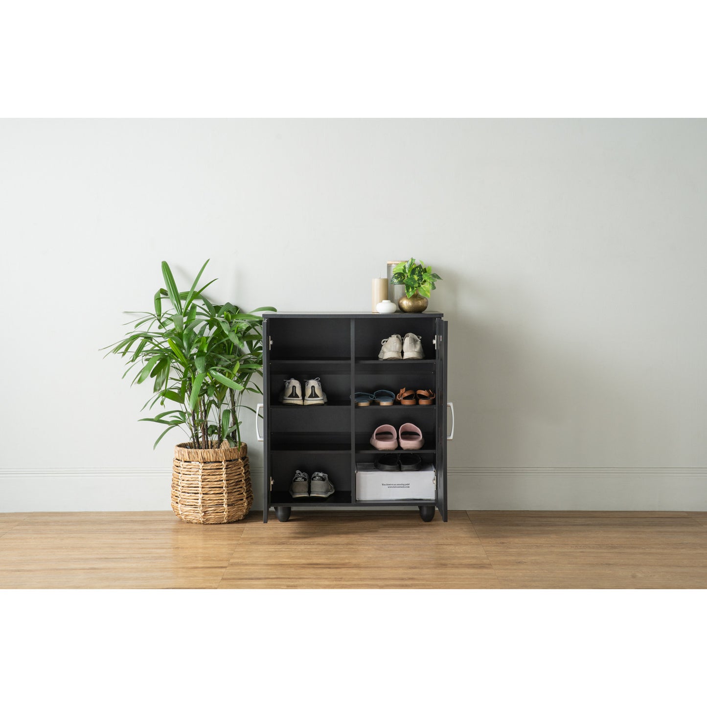 [CABINET & STORAGE] LUNA 2 DOOR SHOE CABINET